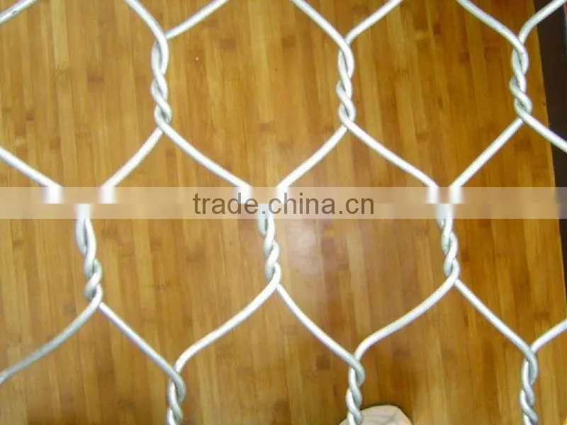 Hexagonal Netting