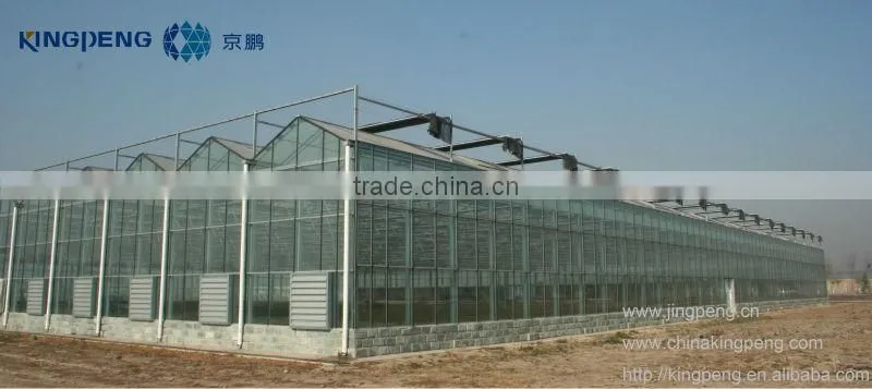 Commercial Glass Greenhouse For Flowers