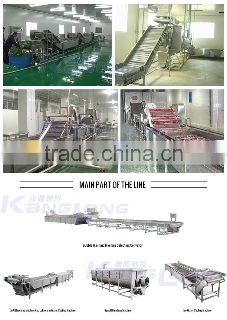 New Technology large capacity fruit processing machine