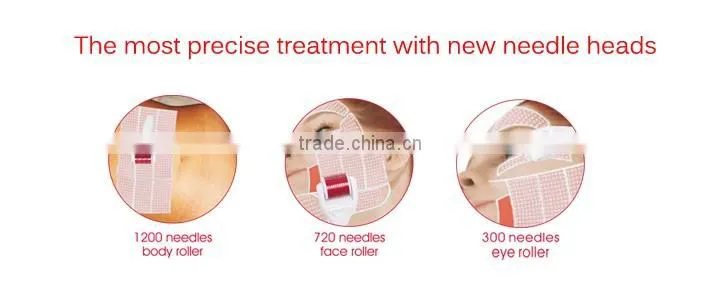 Hot sale 4 in 1 Derma Micro Needle Skin Rejuvenation Microneedle Derma Meso Roller
