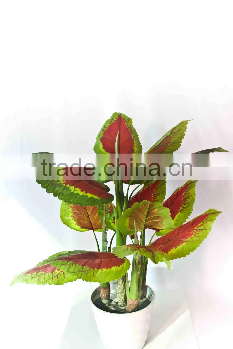 Mini oramental potted plants