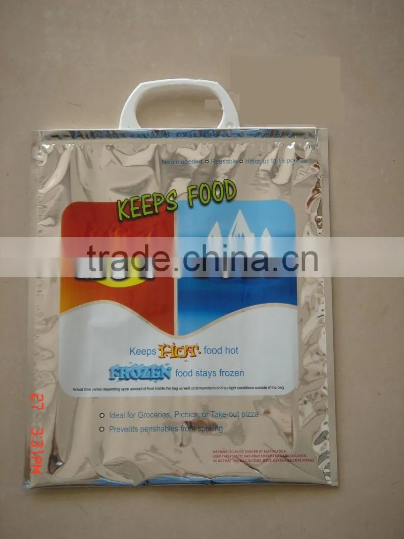 Thermal Hot and Cooler Bag