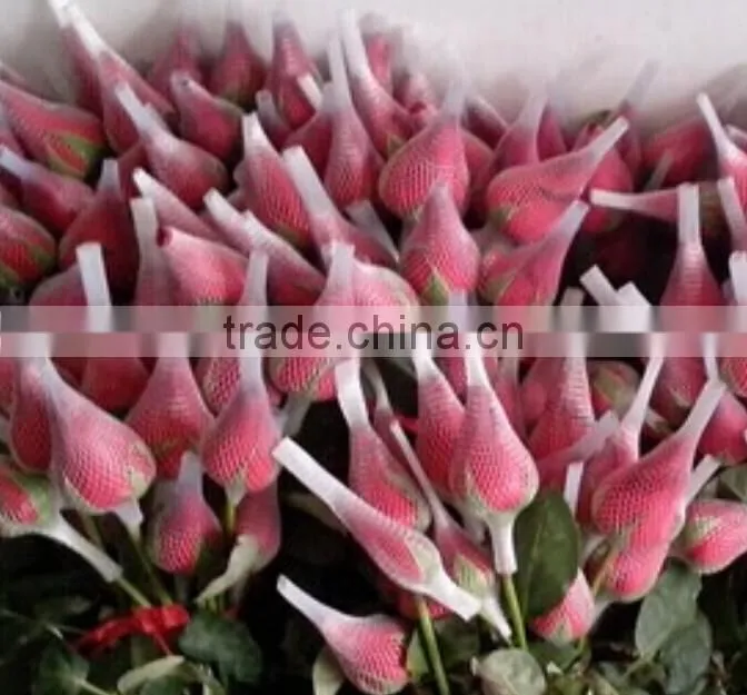 Rose Flower Protective bud Netting