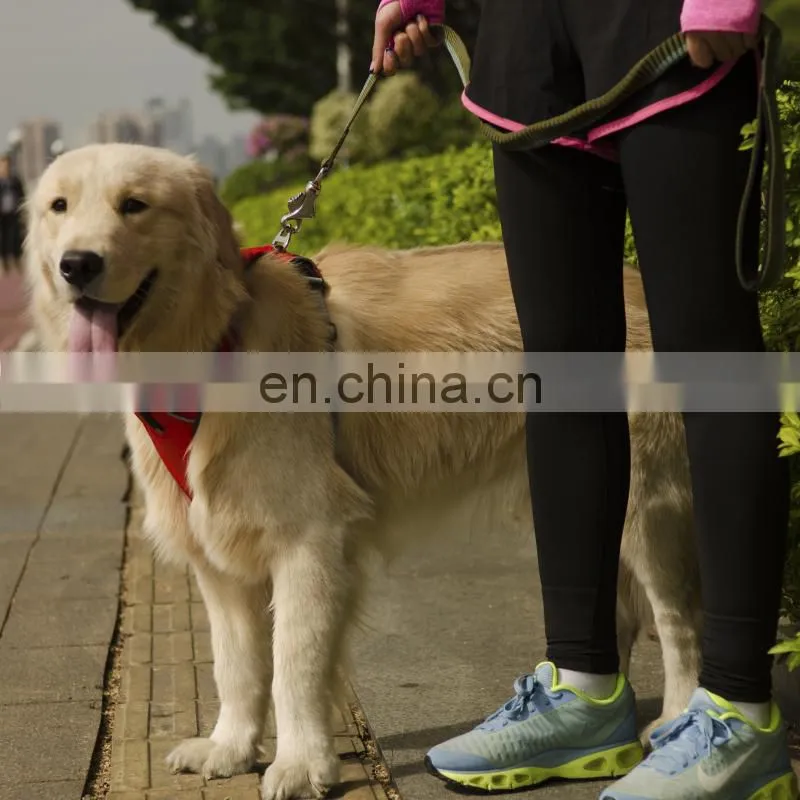citronella spray anti bark collar