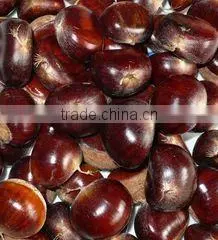 Chestnut Roaster Machine|Roasted Chestnut Machine