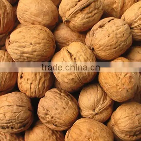 organic high quality walnut kernels