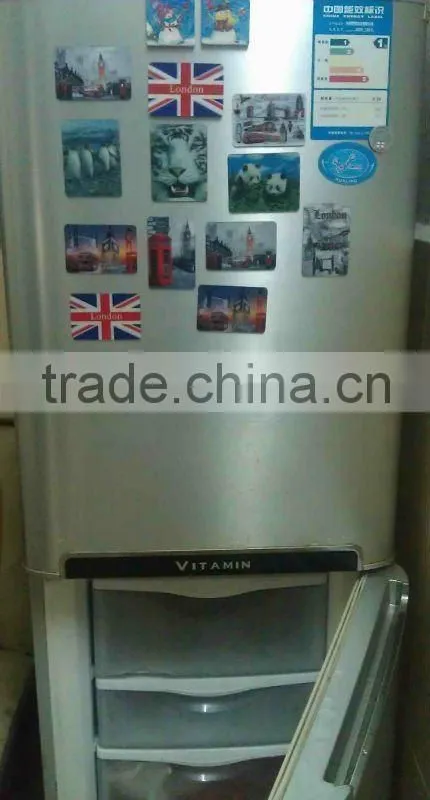 Lenticular 3D Magnet