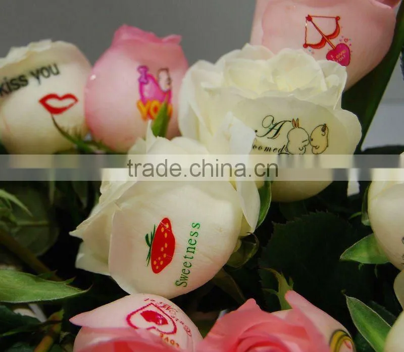 Digital Flower Printer