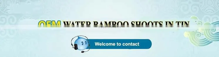 2016 new crop Canned Bamboo Shoot 2950gram