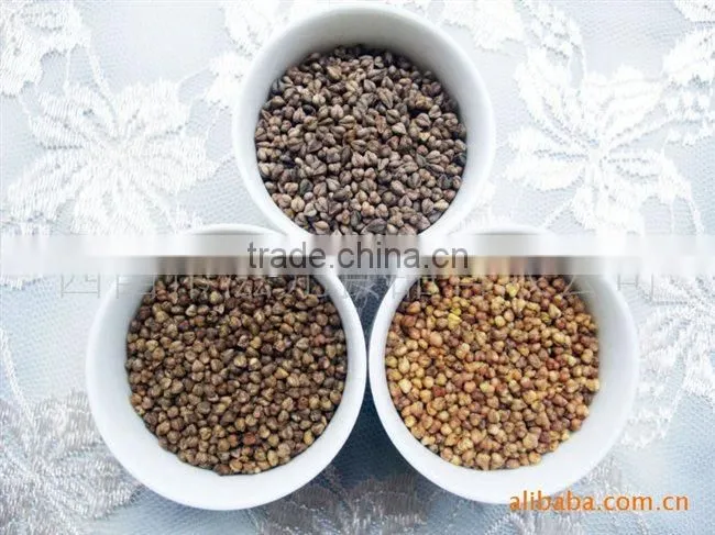 Efficiency Hot Selling Small Bean Crusher in Alibaba
