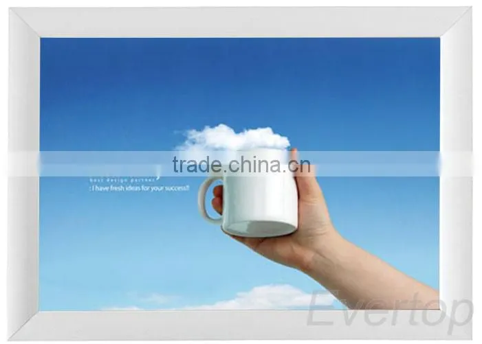 Economy Plastic snap frame