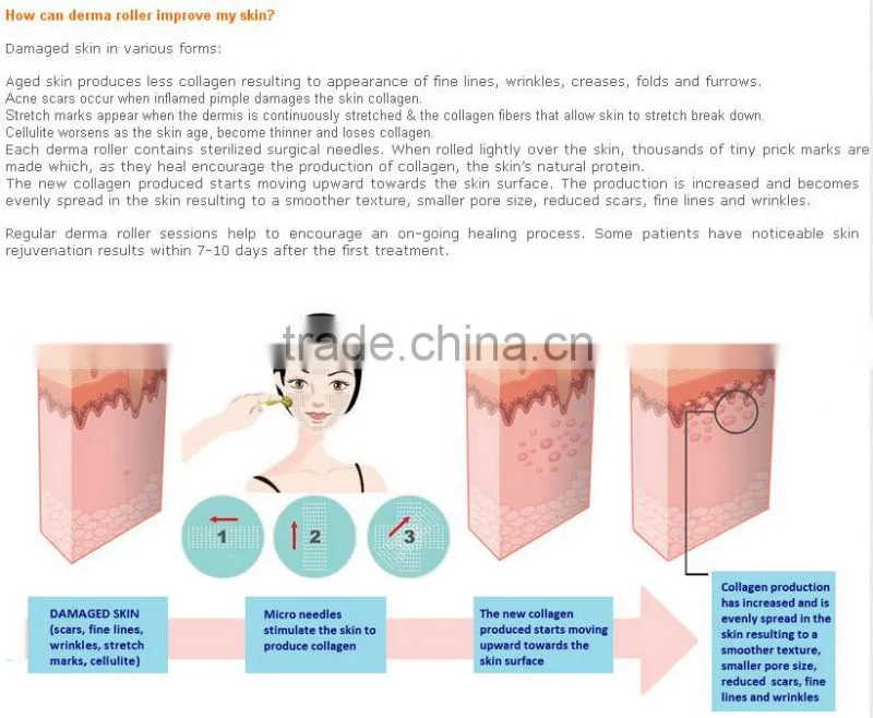 12 needles derma stamp electric derma roller pen dermapen Microneedle equipment / device / vaccine delievery