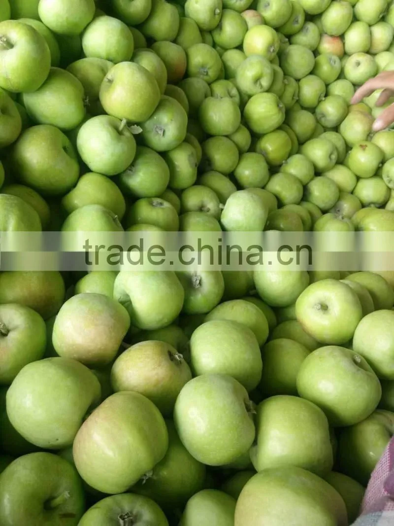 2015 China Green Apple Gala