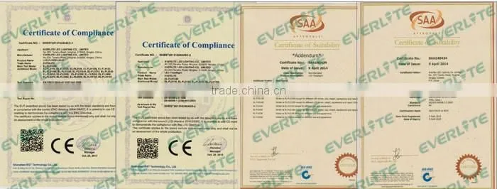SAA aproved 5 years warranty 100w led flood lamp