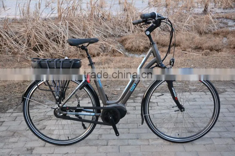 mid drive motor electric bicycle with front and rear roller brake ,250w central motor max system bosch shape