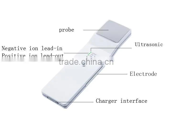 3 in 1multifuncational Ultrasonic Galvanic Beauty Device
