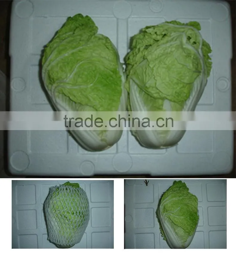 No rusty spot fresh cabbages round shape Chinese cabbage