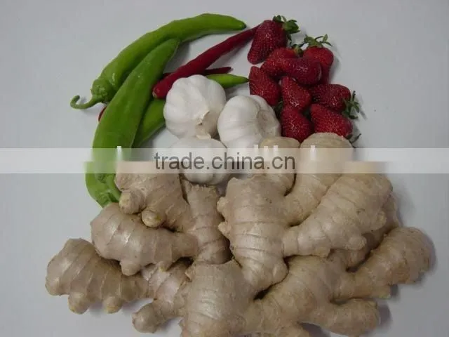 dry ginger