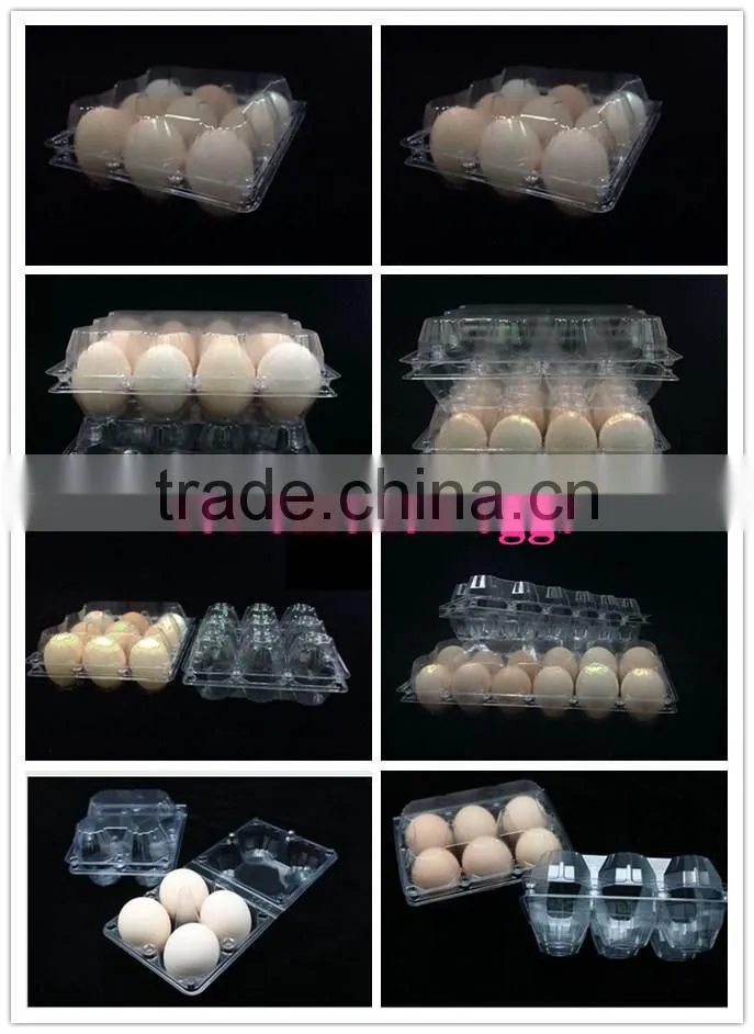 2016 hot-sales and lowest price quail egg packaging tray for quail eggs