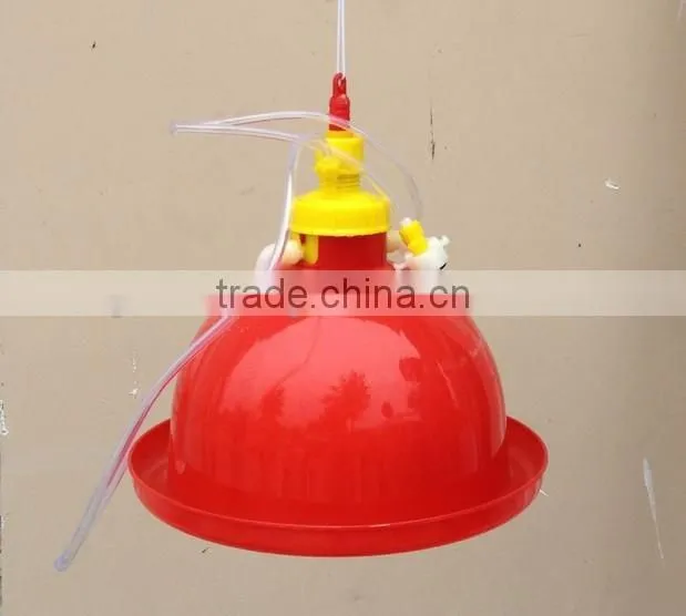 Automatic animal drinker for chicken