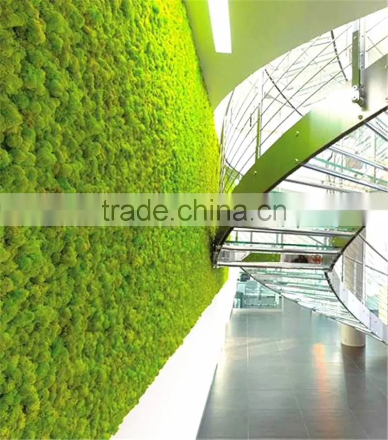 Home garden china decoration 100cmx200cm black mat artificial plant holland moss carpet EZMD03 0209
