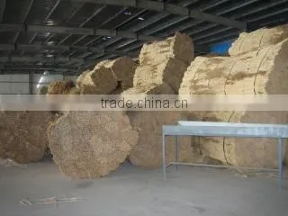 Youngsun Reed Farm company overview - view 2