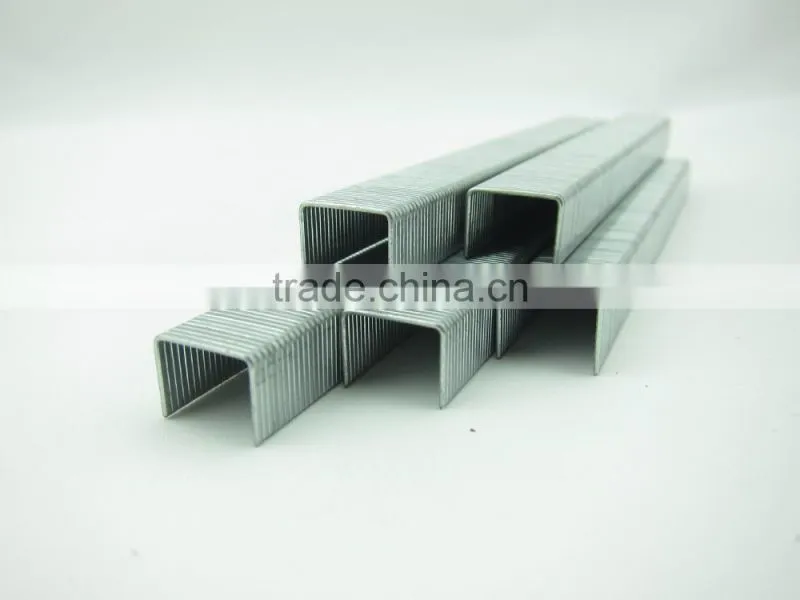 21GA 8007 Galvanized Staple