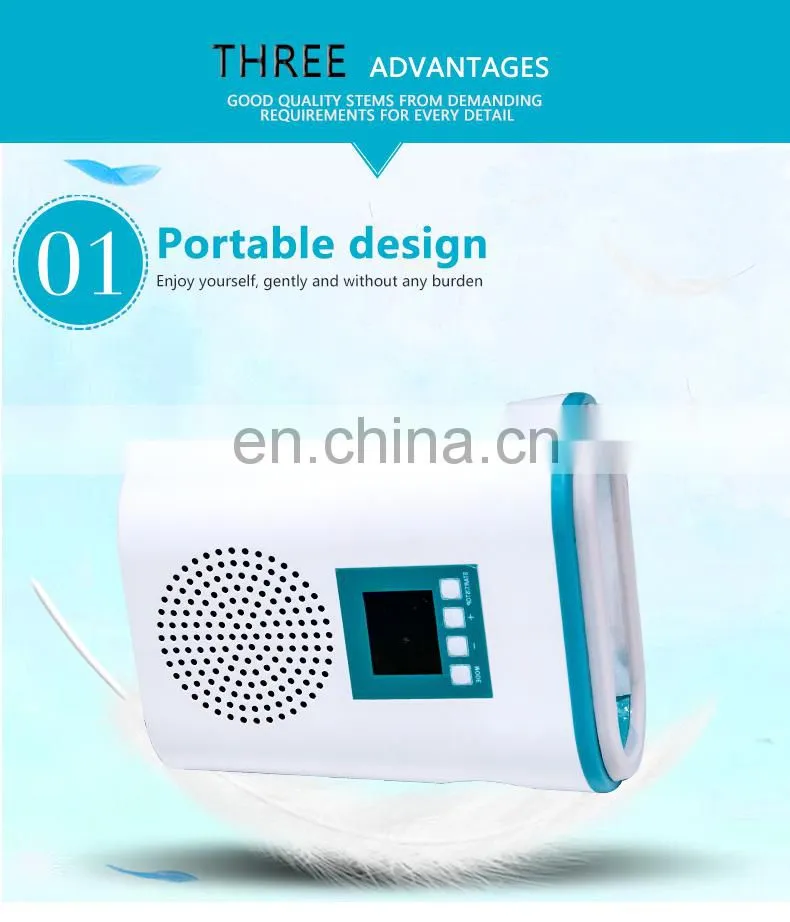 Mini cryolipolysis Frozen weight loss beauty equipment for Home use