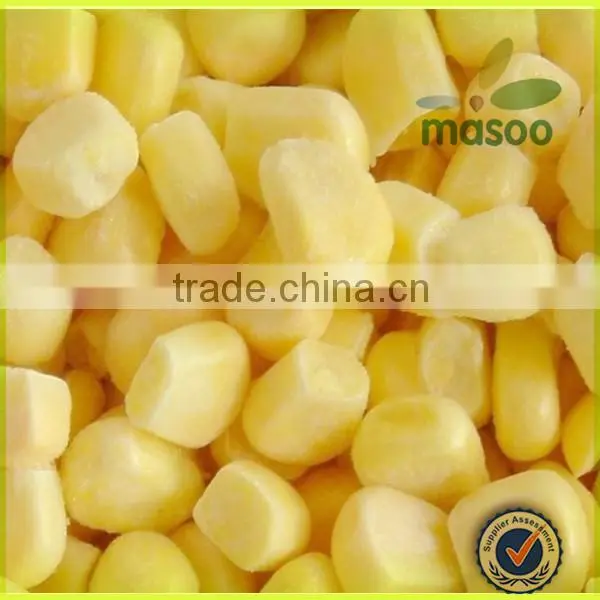 Canned and IQF frozen sweet corn