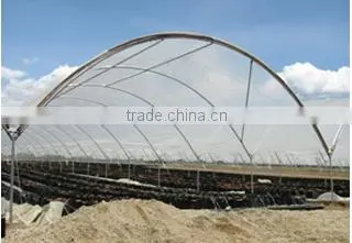 Greenhouse Structure Pole Ancher stake in horn shape