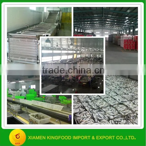 Best quality canned sardine importers 155g canned sardine brands