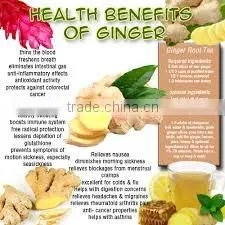 Fresh Ginger/