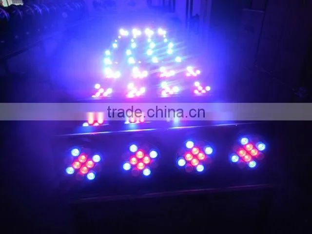 48*3W RGBW Led 4 Viewers Light DJ Stage Lighting Led Effect Light