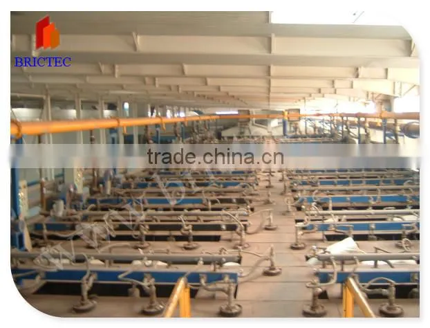 Small tunnel brick kiln use coal nature gas petrol coke LPG heavy oil