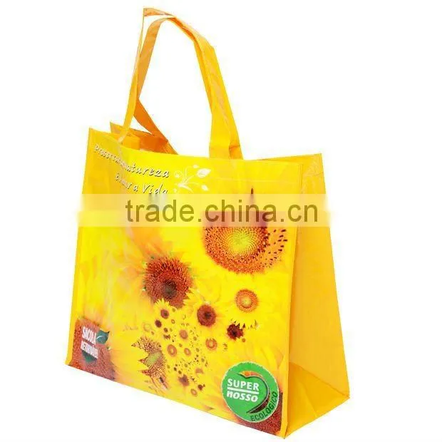 Recycle Non-woven Carry Bags(RX012025)