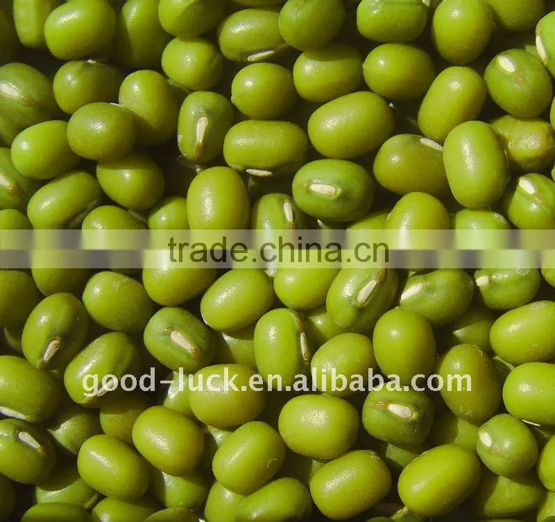 2011 new crop mung bean