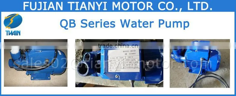 QB80 1 HP Motor Water Pump