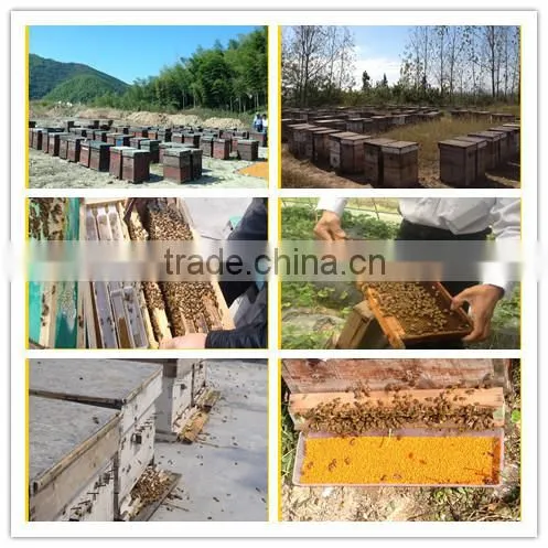 Natural Bee Honey
