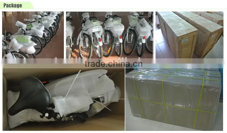 new model electric bicycle of two wheels made in China