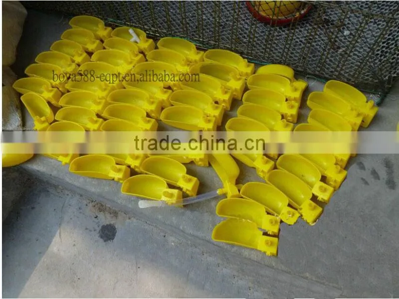 Poultry quail Cages for Quail Faming