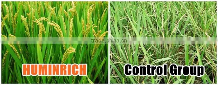 Huminrich Foliar Spray Water Soluble Fertilizer Chelate Mg