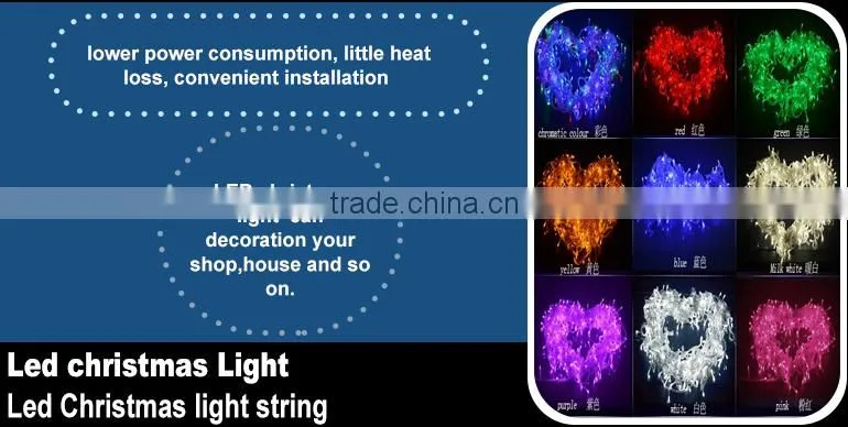 Indoor & Outdoor Christmas Decoration Led Lights/holiday Time Led Lights