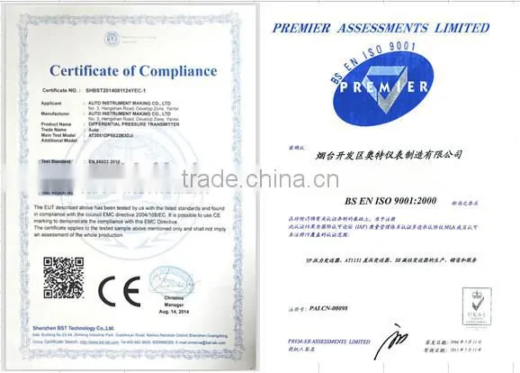 Mass Flow Meter wih high qulity was sold at Europe