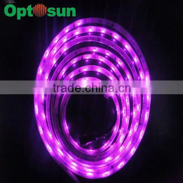 2012 HOT SALE IC aluminum profile led strip light