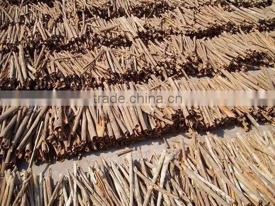 china supplier of spices