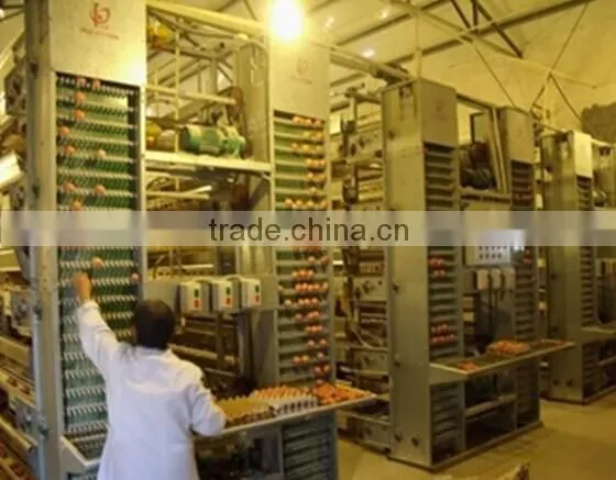 chicken layer cage