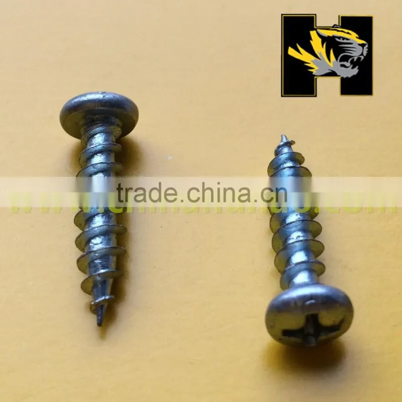 China supplier pan head self tapping screw to color steel board