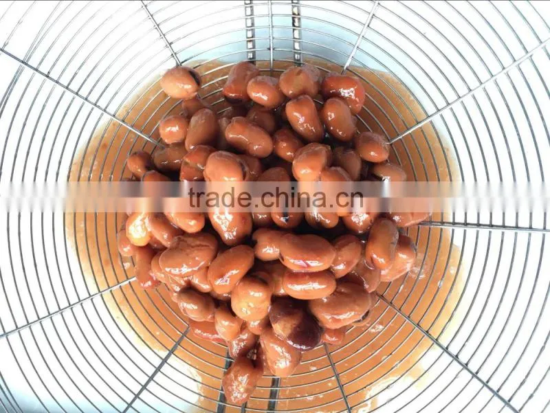 Canned Broad Beans/Canned Food/Canned Vegetables