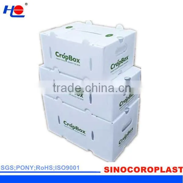 Washable Corrugated Polypropylene Box