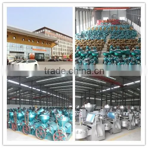 Higher oil output sesame oil press machine